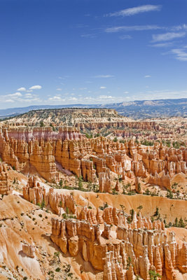 bryce