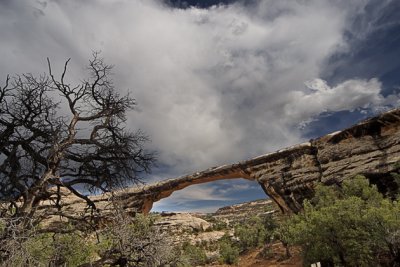 arches nat'l park