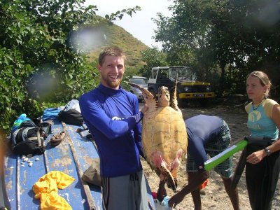  Sea Turtle Taging