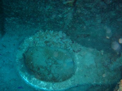 new dive camera 042sm.jpg