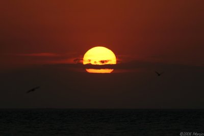 sunset  - Heron Island