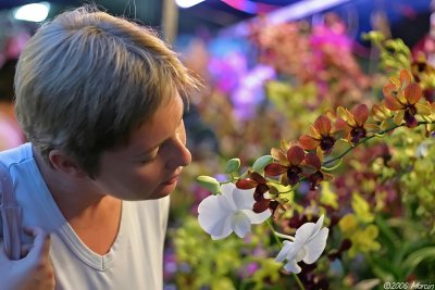 Sarawak - night market