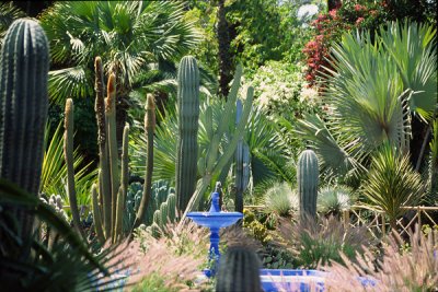 RW050B+070404MAJORELLE.jpg