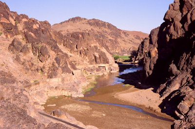 RW062+070403062.jpg