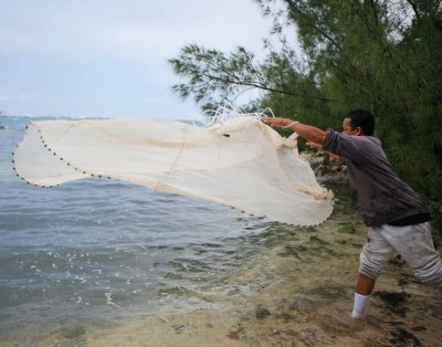 Casting the net3