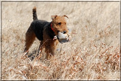 Zoe105.JPG