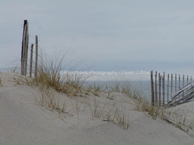 DJD020331-02-10-45A.JPG