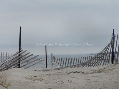 DJD020331-02-10-53A.JPG