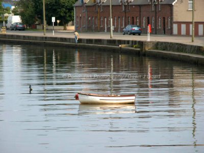 DJD030622-00-40-59.JPG