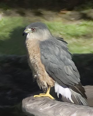 g6/42/715742/3/70818569.xjQttsbE.jpg