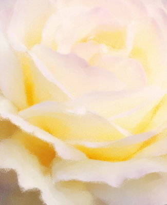 g6/42/715742/3/87238001.mslfRZRE.jpg
