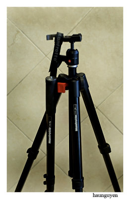 Mono & Tripod