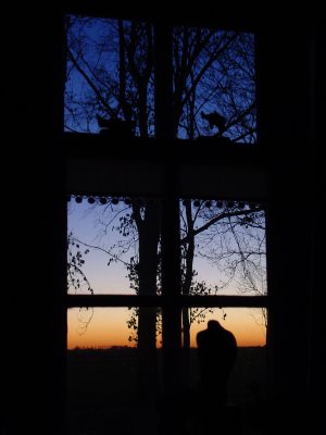 Evening window