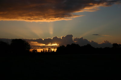 Morning rays