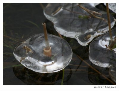 Glace 09w.jpg