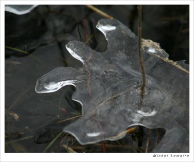 Glace 10w.jpg