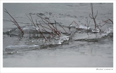 Glace 16w.jpg