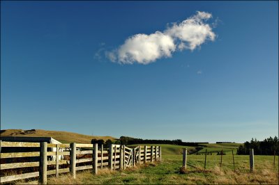 Hindon Landscape Otago