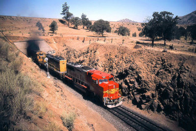 Santa Fe Super Fleet @ Walong/Tehachapi Loop