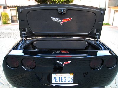 vette.jpg