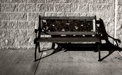 Bench In The Sun