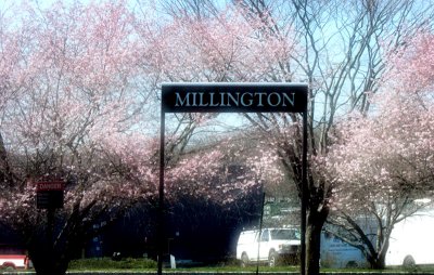 Spring In Millington