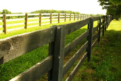 Wooden Fences