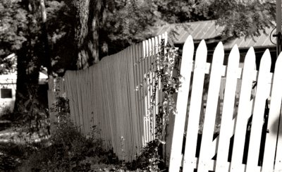 Picket Fence Askew