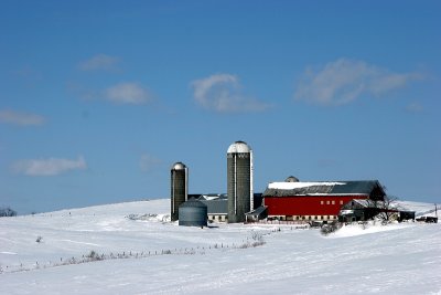 2085 Winter farm