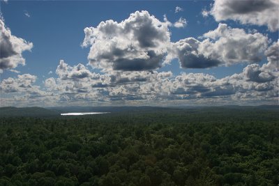 Lookout View