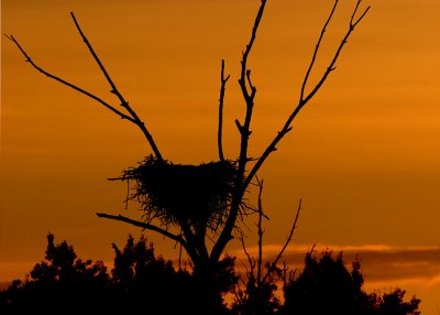 Eagles Nest at Sundown