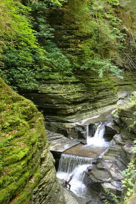 Watkins Glen