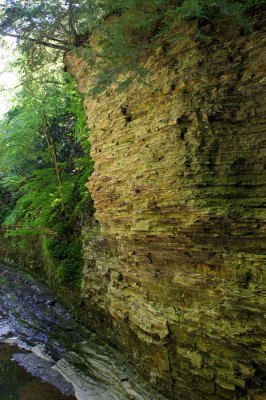 3876 Gorge Wall