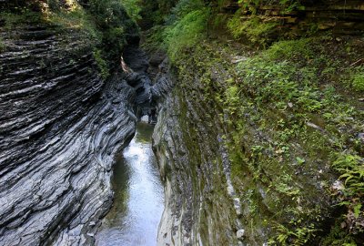 Green and Grey Gorge 3839