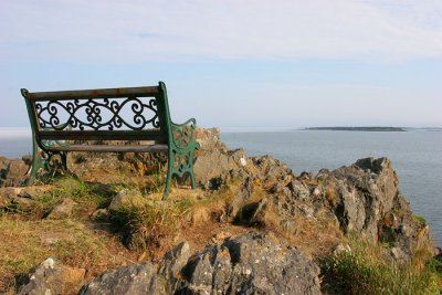 Bench with a View 4131