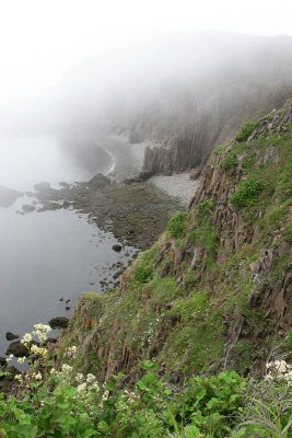 South Head Cliffs 4100