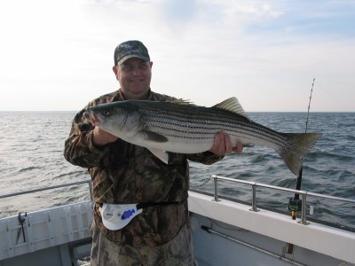 IMG_0993.jpg