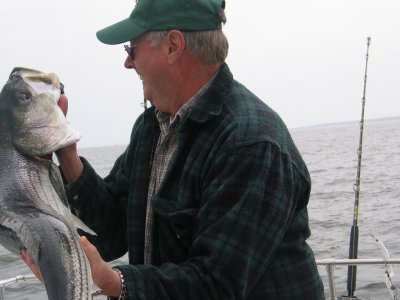 IMG_1084.jpg