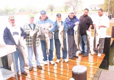 IMG_1113.jpg