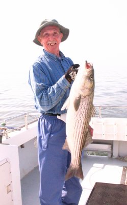 IMG_1115.jpg