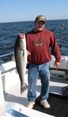 IMG_1155.jpg