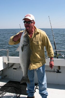 IMG_1159.jpg