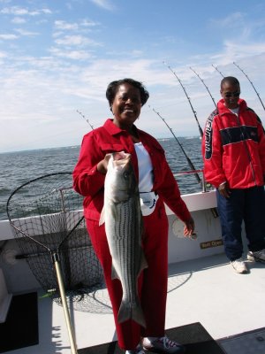 IMG_1253.jpg