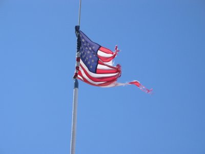 IMG_1264.jpg