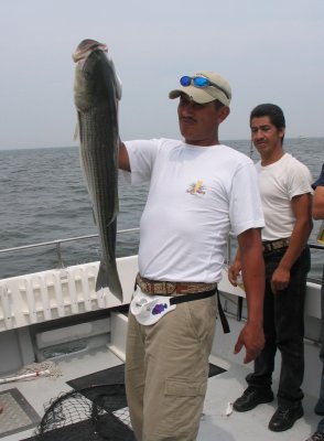 IMG_1311.jpg