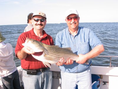 IMG_1712.JPG