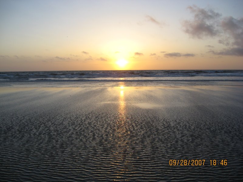 IMG_5690.jpg