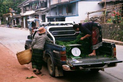 Unloading the Mekong Weed