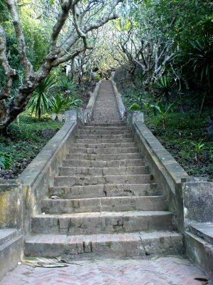 Steps to Wat Phou Si