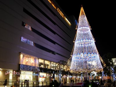 Hamamatsu Christmas Tree